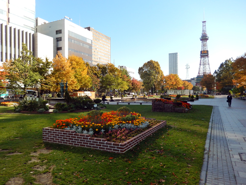 朝の大通公園