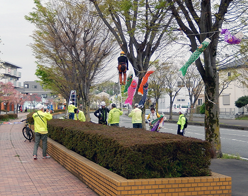 けやき台公園の鯉のぼり01