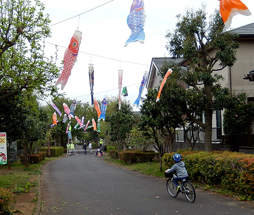 けやき台公園の鯉のぼり02