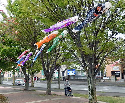 けやき台公園の鯉のぼり04