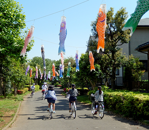 けやき台公園の鯉のぼり06