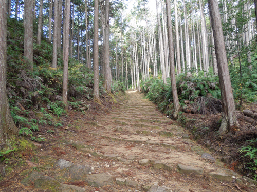 熊野古道