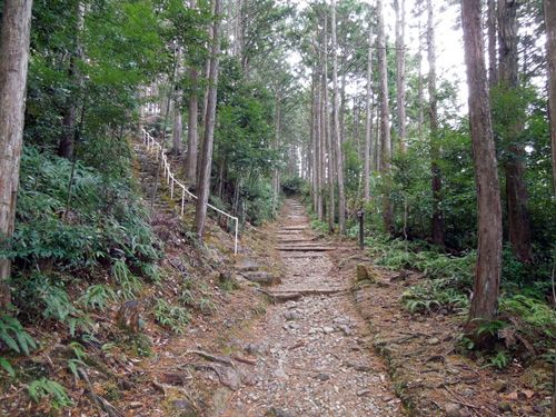 三軒茶屋跡から