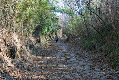 笹原新田上長坂