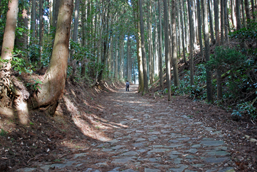 山中新田上長坂