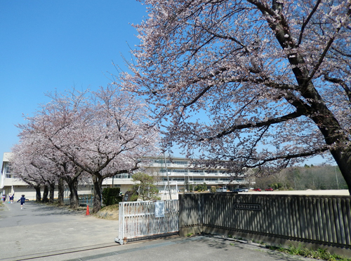 市立愛宕中学校