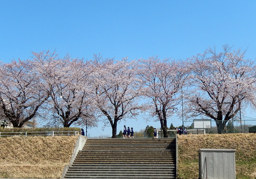 市立愛宕中学校