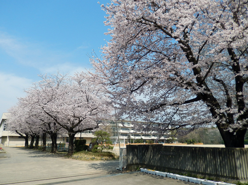 市立愛宕中学校正門