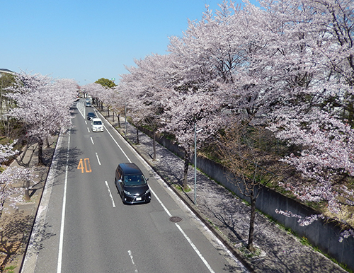 市立けやき台中学校正門