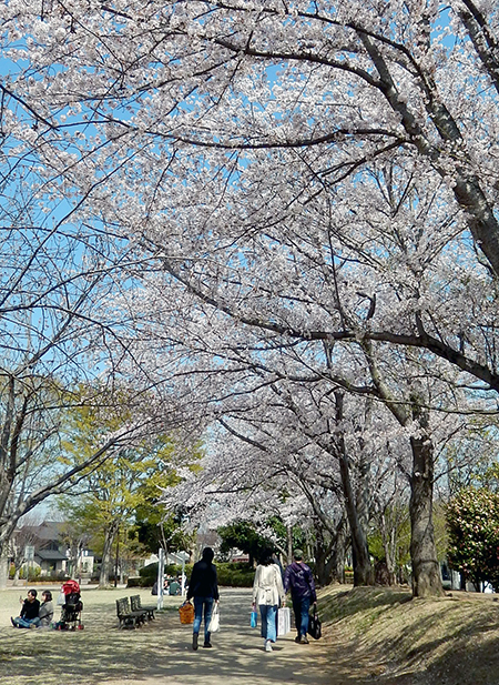 けやき台公園