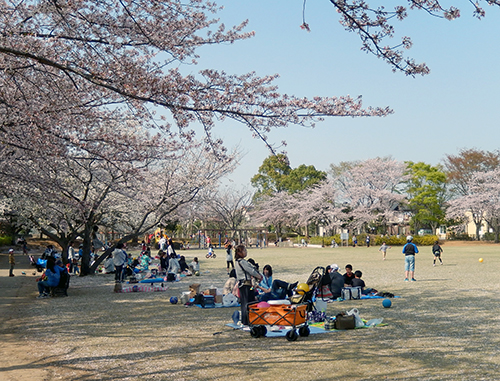 けやき台公園