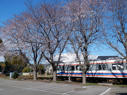 つくばみらい市筒戸付近01