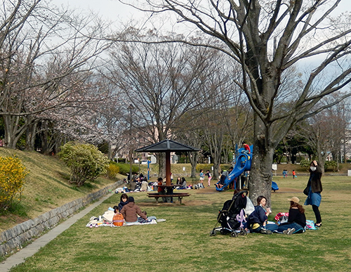 取手市戸頭公園