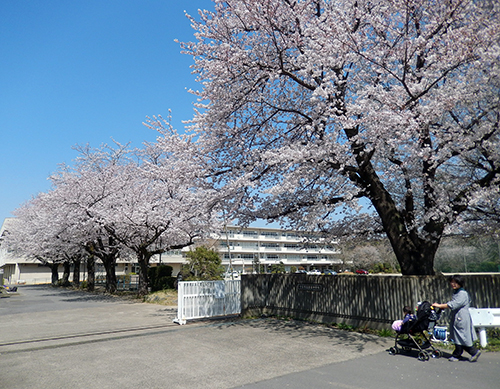 市立愛宕中学校正門前