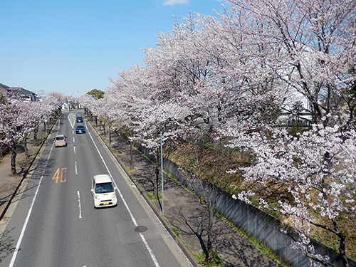 市立けやき台中学校正門前