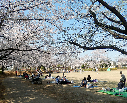 けやき台公園01