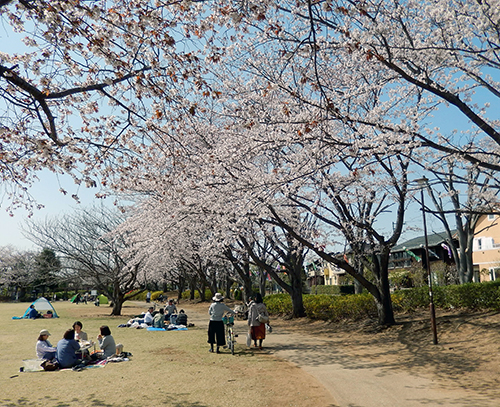 けやき台公園02