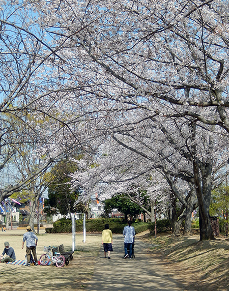 けやき台公園03