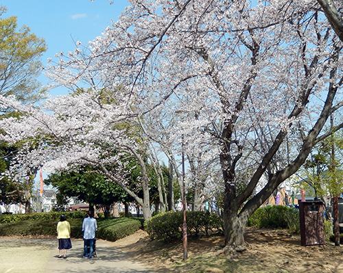 けやき台公園04