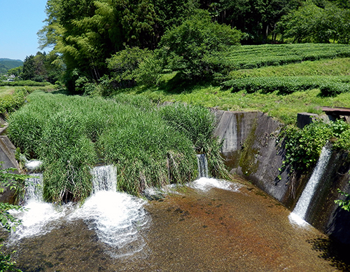 巻ヶ沢橋02