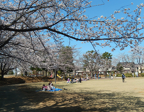 けやき台公園01