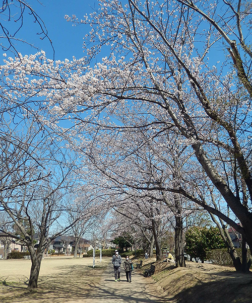 けやき台公園02