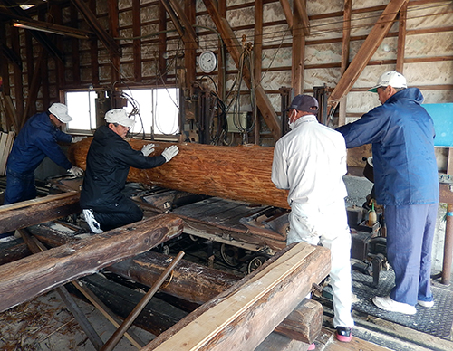 樹齢100年生超ヒノキ製材中01