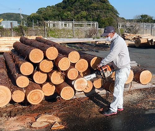 日置川産樹齢100年生超ヒノキ07